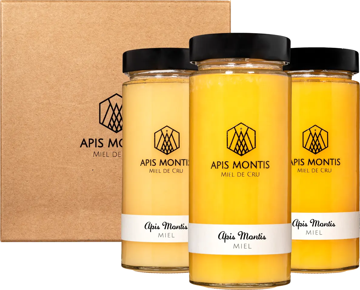 la boîte carrée  rayons de soleil