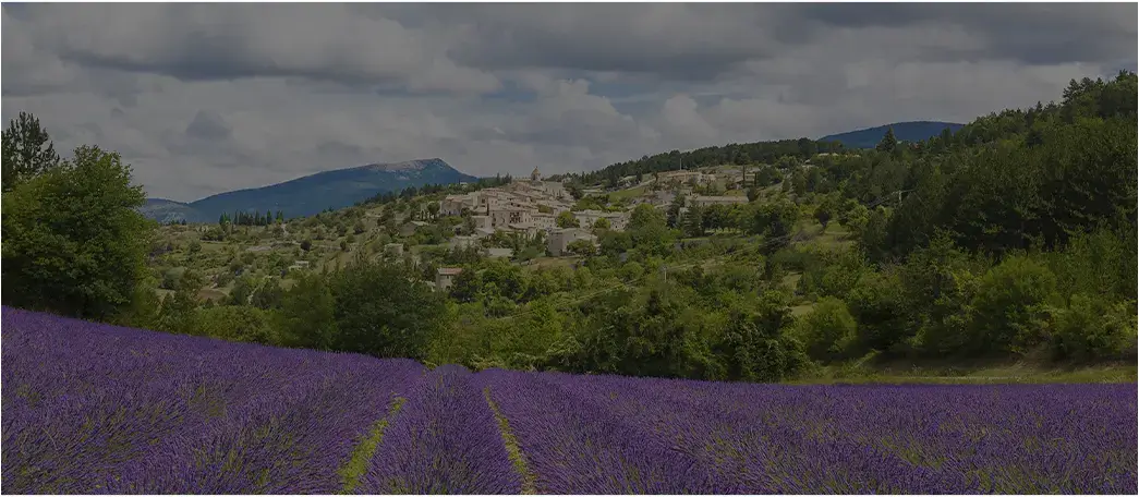 theme provence apis montis opti
