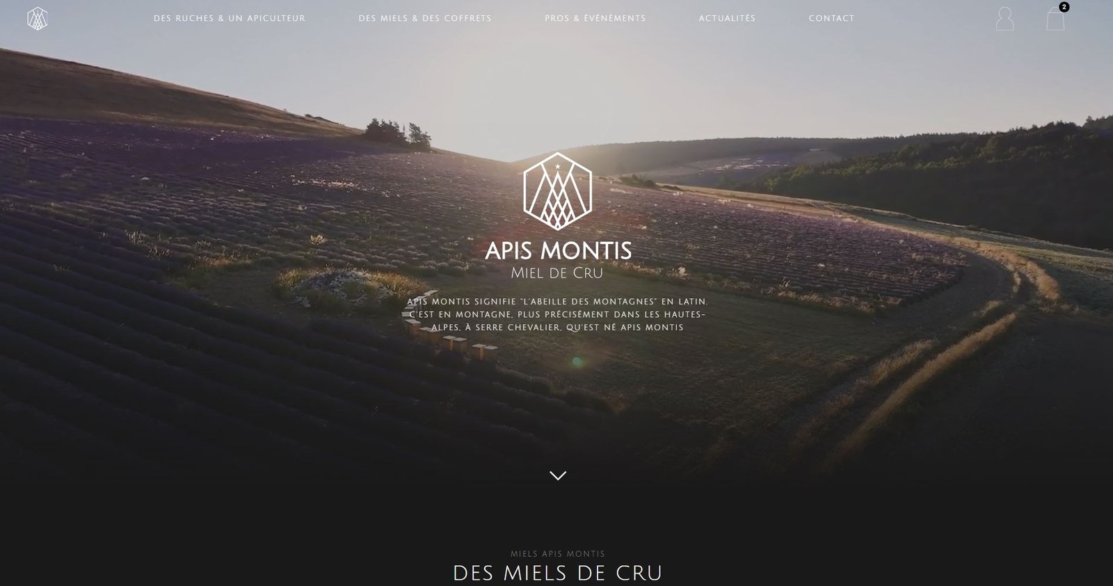 actualites apis montis